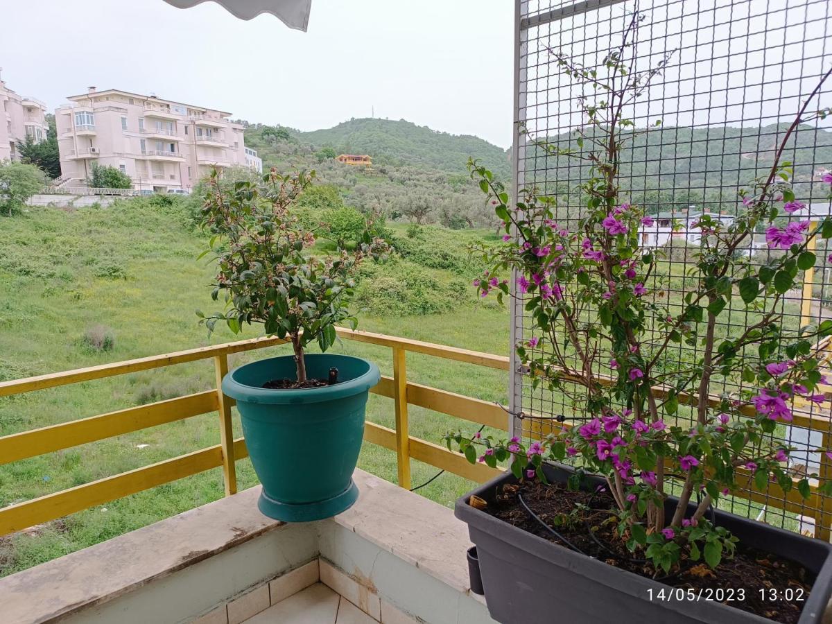 Appartement Olive Tree Tirana
